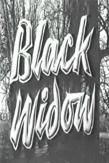 Poster for Black Widow