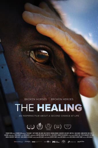 Poster for The Healing