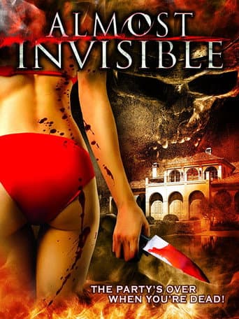 Poster for Almost Invisible