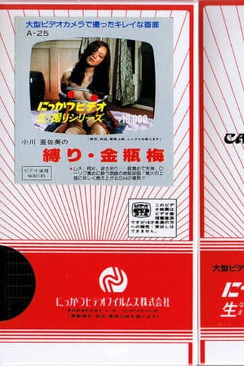 Poster for Asami Ogawa's Binding: Jin Ping Mei