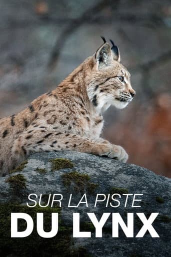 Poster for Sur la piste du lynx