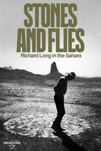 Poster for Stones and Flies: Richard Long in the Sahara