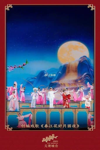 Poster for 2026年中央广播电视总台元宵晚会