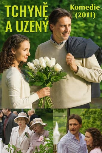Poster for Tchyně a uzený