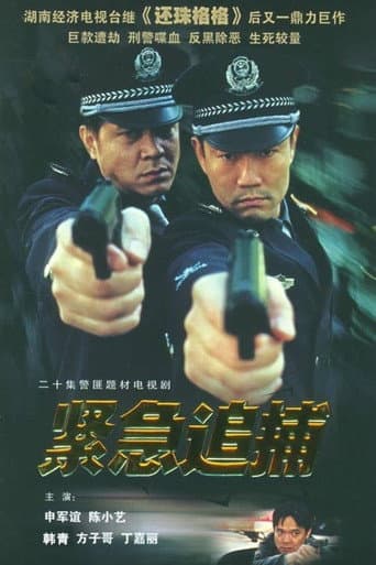 Poster for 紧急追捕