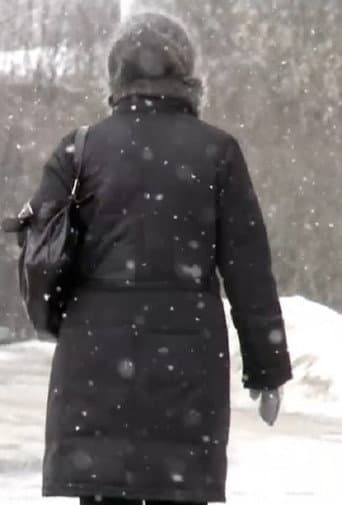 Poster for Snow