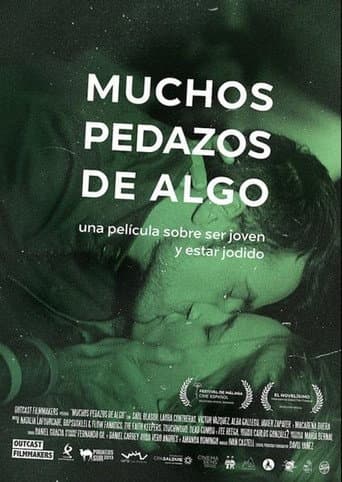 Poster for Many Pieces of Something