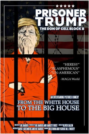 Poster for Prisoner Trump: The Don of Cell Block B