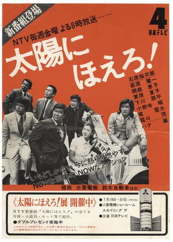 Poster for Bark at the Sun