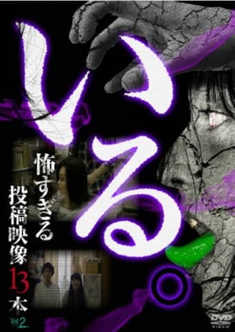 Poster for 「Iru.」~ Kowasugiru Tōkō Eizō 13-hon ~ Vol.2