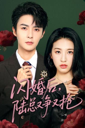 Poster for 闪婚后陆总又争又抢