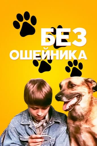 Poster for Without a Collar