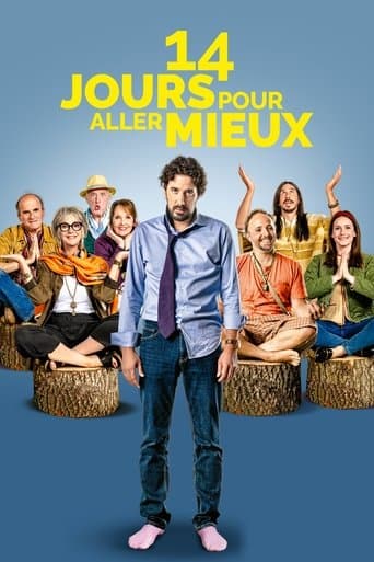 Poster for 14 Days to Feel Better