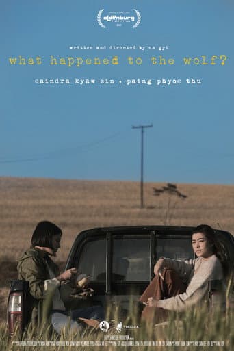 Poster for What Happened to the Wolf?