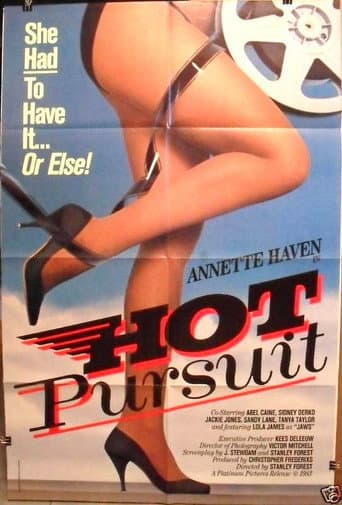 Poster for Hot Pursuit