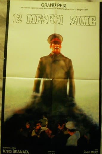 Poster for 12 Months of Winter
