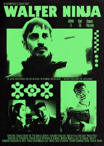 Poster for Walter Ninja