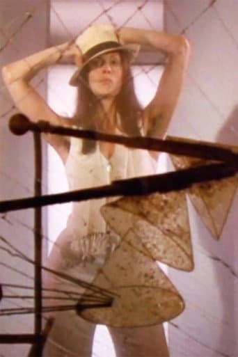 Poster for Hannah Wilke Through the Large Glass