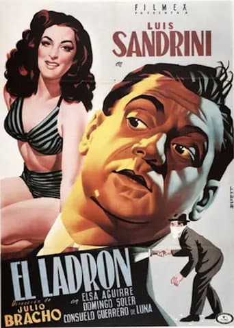 Poster for El ladrón
