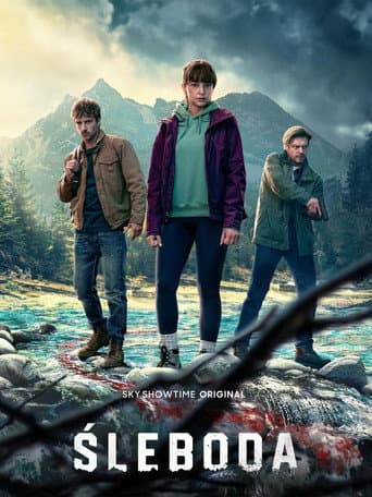 Poster for Limited Series