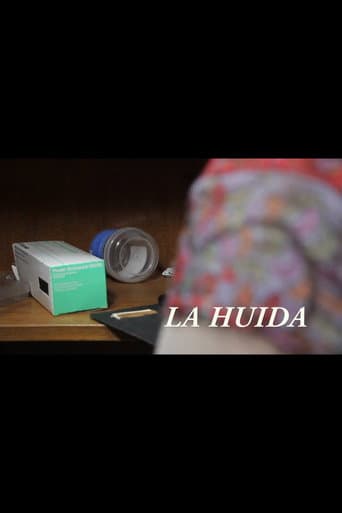 Poster for La huida