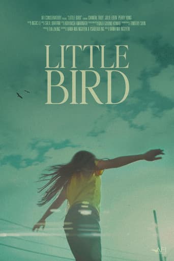 Poster for Little Bird