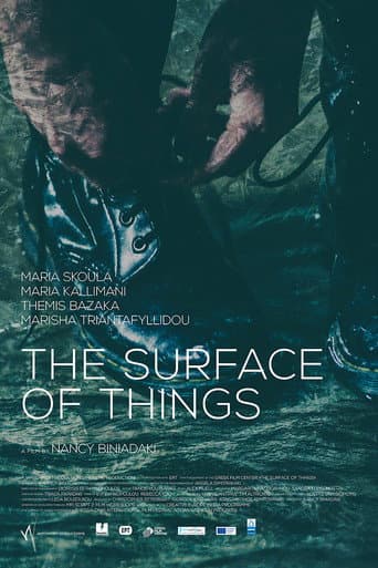 Poster for The Surface of Things
