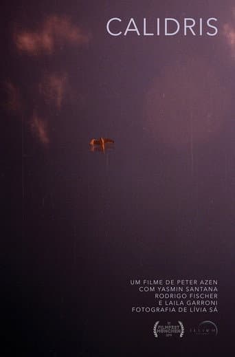 Poster for Calidris