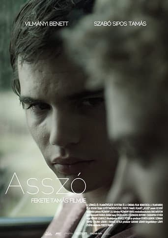 Poster for Assaut