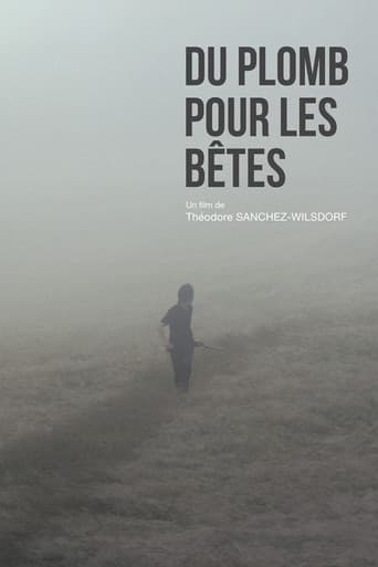 Poster for Du plomb pour les bêtes