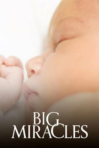 Poster for Big Miracles