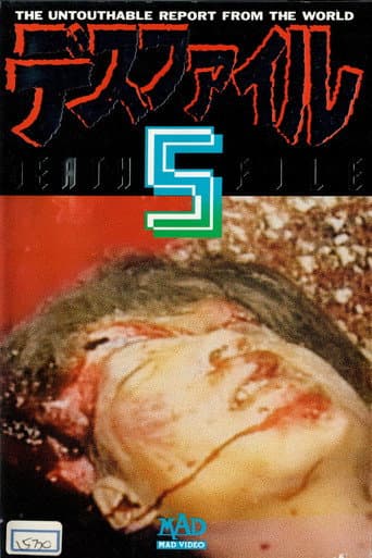 Poster for Death File 5