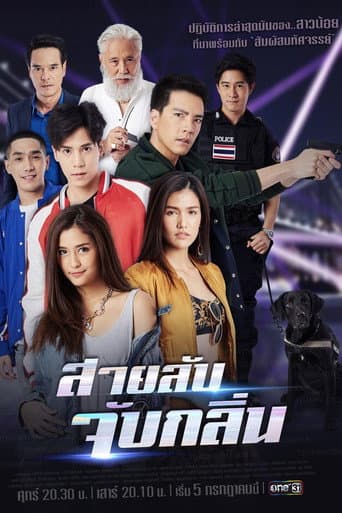 Poster for Detective K9