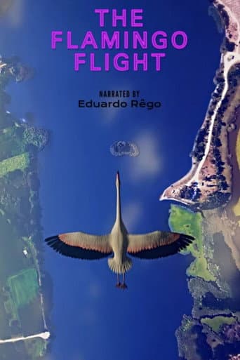 Poster for O Voo do Flamingo