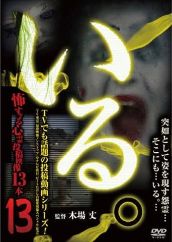 Poster for 「Iru.」~ Kowasugiru Tōkō Eizō 13-hon ~ Vol.13