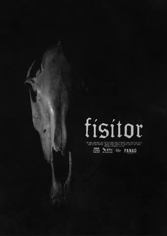 Poster for Fisitor