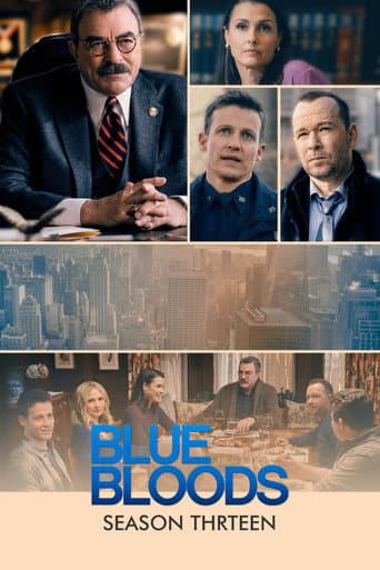 Poster for Season 13