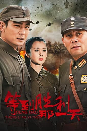 Poster for 等到胜利那一天
