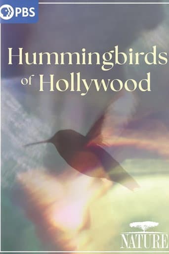 Poster for Hummingbirds of Hollywood
