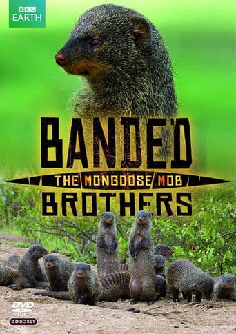 Poster for Banded Brothers: The Mongoose Mob