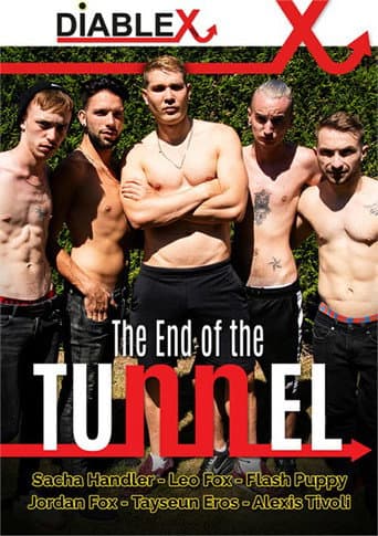 Poster for At the End of the Tunnel
