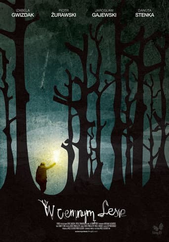 Poster for Into the Dark Woods