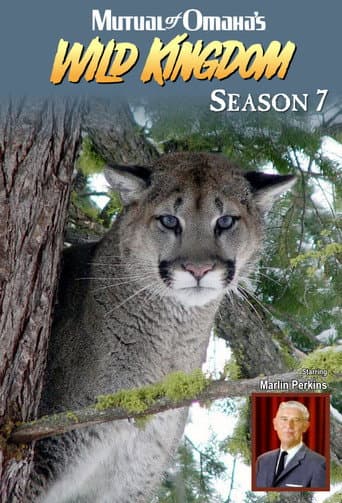 Poster for Season 7