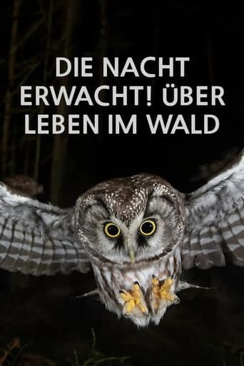 Poster for Die Nacht erwacht! Über Leben im Wald