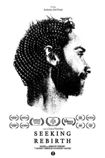 Poster for Seeking Rebirth
