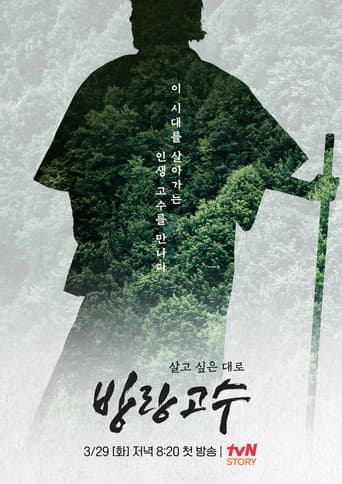 Poster for 방랑고수