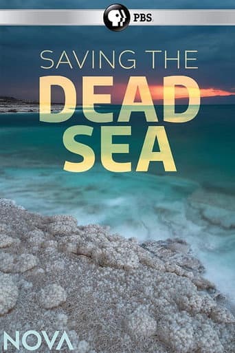 Poster for Saving the Dead Sea