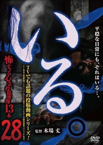 Poster for 「Iru.」~ Kowasugiru Tōkō Eizō 13-hon ~ Vol.28