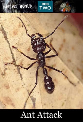 Poster for Ant Attack