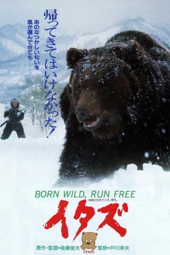 Poster for The Forest of the Little Bear